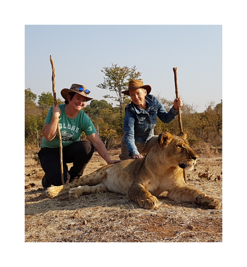 With Lions Zimbabwe